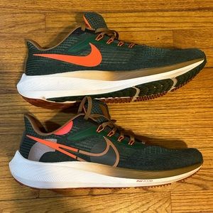 Men’s Nike Air Zoom Pegasus 39 Hola Lou Authentic